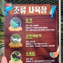 진도메디칼 | 진도개테마파크 진도 아이와 가볼만한곳