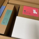 [아기 전집] 아람 북스 베이비올 아기 | 9개월 아기 전집 내돈내산 후기