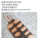 아빠초밥 이미지