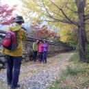 한울목장 이미지