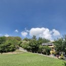 봉황대공원(주차장입구) 이미지