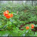 나무쉼터 이미지