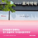우리동네효자약국 이미지