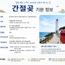 간절곶 풍차 | 간절곶, 일출보다 더 기억에 남았던 바다