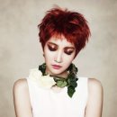 예가체프 이미지