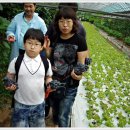 강청리농장 이미지