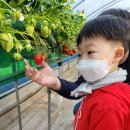 대림농장 이미지