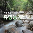유명산골 이미지