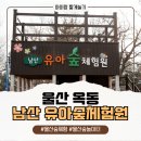 남산숲속여행길 | 울산 아이랑 봄 가을에 가볼만한곳 남산 유아숲체험원
