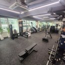 아벨라 짐 이미지