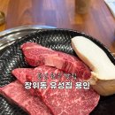 경기도 용인 가볼만한곳 한우 맛집 장위동유성집 용인점