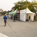 함평 2023 국화축제 23년 10월26일 이미지