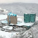 강원랜드 이미지