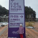 정선유치원 | 정선 하이원리조트 눈썰매장 유치원 생이랑 즐기기!(내돈내산 솔직후기)