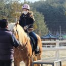 함안군 승마공원 청사 이미지