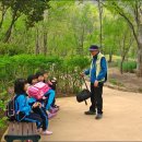 강북초교 병설유치원 이미지