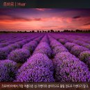 더예쁜하루