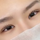 아끌린 | 구미 형곡동 속눈썹펌, 연장 잘하는 곳 “아끌린”