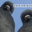 제주스 네이버블로그