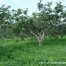 신광농장2 이미지