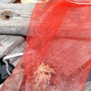 영목수산좌대 이미지