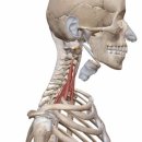 율하5로 이미지