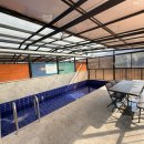 세인트354 이미지