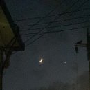 2024.12.02~12.08 [주간 일기]