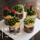 떡과앙금플라워 | 포항 떡케이크 맛집 땡스케이크｜앙금플라워 주문제작 후기