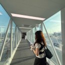 일월 미트 | [도쿄 3박 4일] 인천공항 T2 첫출국부터 가마쿠라 슬램덩크 성지순례!