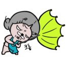 에코이지