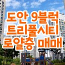 트리풀한라공인중개사사무소 이미지