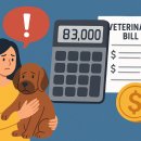 산들동물병원 | 같은 진료인데 65배 차이? 동물병원비 표준화 추진(동물병원 평균 진료비 확인)
