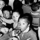 옛날꽁보리밥 이미지