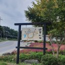 배꼽시계(생선구이) 이미지