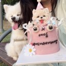 곡식이네 수제간식 이미지