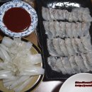 넙치민박 이미지