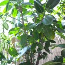 중앙고무 이미지