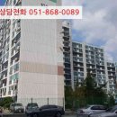 꽃대나리로 이미지