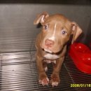 한사랑주유소 이미지