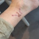 씨유 이천마도로점 | 3월의 마지막주와 4월의 첫째주 주간일기