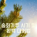 노령주유소 | 송화가루 날리는 시기 및 시간 언제까지 지속될까? 올바른 환기 방법과 대처 가이드