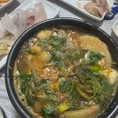 컴플릿짐 | 2달 반 만에 한국 가서 끊임없이 먹기 (ft. 엄마랑 강원도 묵호 당일치기 🦑)