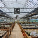 라파농장 이미지