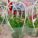 아이비유치원 | 성남 유치원 추천 아이비유치원 소개 재원후기