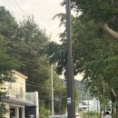 카렌시아 | 자쿠지에서 흐느적거리다 노래방 클럽 오픈🔥 불멍까지 하면 가족 여행 완성 | 춘천 카렌시아풀빌라 후기