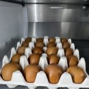 주식회사 더만족 이미지