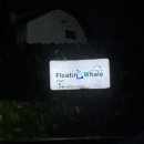 옛길펜션 | [인제 펜션 추천] 대자연 속 힐링 스팟! '플로팅웨일 설악도적폭포스테이' 강원도 여행 후기