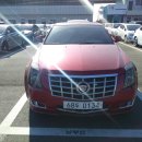 단지카센타 이미지