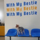 위드마이베스티 이미지